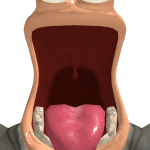 @Parkobean67