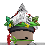 @simchacamion1