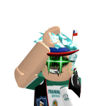 @gatopello13141
