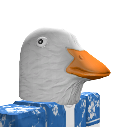 Roblox avatar