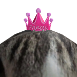 @Liniizzen