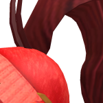 @G3T_EXPOSEDyt