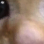 @sampro1jj