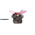@OmittedOsprey20