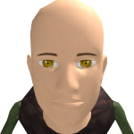 @ninjakskills