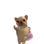 @h3Il0k1tti