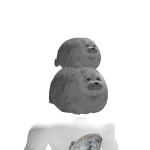 Finnish_seal