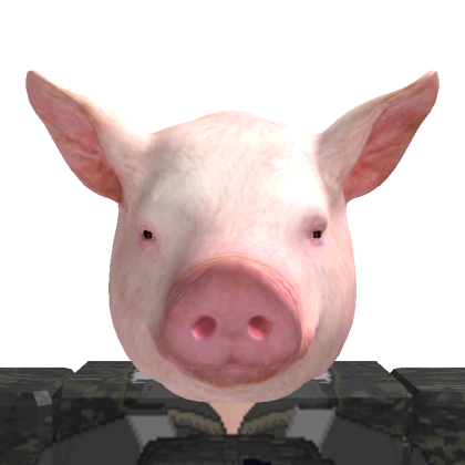 Roblox avatar
