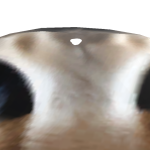 @KewlGameMaker