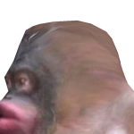 @squishyslime503