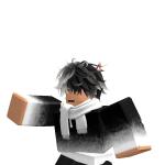 ShadowFighter