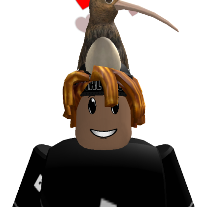 Roblox profile picture for @F_akeRR
