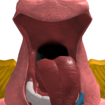@HenriNates