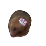 @HayLee6000