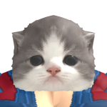 @Ariana_Kitty17