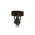 @ppppppppkkjjjjjj