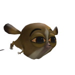 @C0ZYC0RE