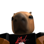 @youngpinYt