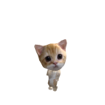 @jojooooooo6770