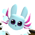 @plecofish99