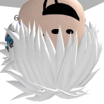 @BeasterGamer10