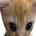@xGamer_boyplayx