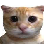 @termonator2134