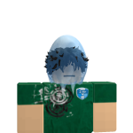 @ronanhiam447