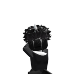 @45v213