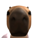 @im_random101