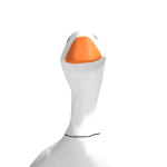 @crater641