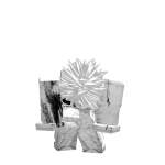 @cool_kid700123