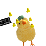 Lalisafannn16