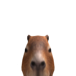 @gabugamer3