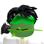 @arleks1rei