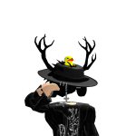 @KingCat12356