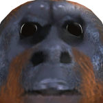 @sup98hi2