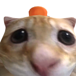 @lucasman143
