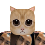 @TemmeGuner