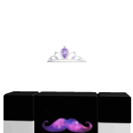 @hiscasket