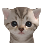 @Saz_official