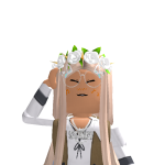 @Robloxgirl_losttt