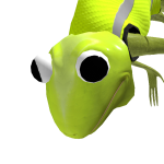 @BiggyHiHi