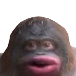 @demejr13
