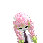 @zorrito8228yt
