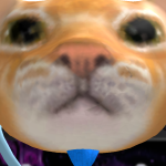 @exokomitis