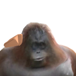 @tim280810