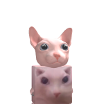 @Jibayan12