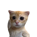 @Izzy_chocolateChip20