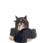 GermanWolf3D
